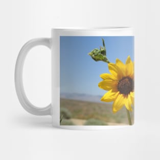 Sun flower, wild flowers, Mojave Desert, California Mug